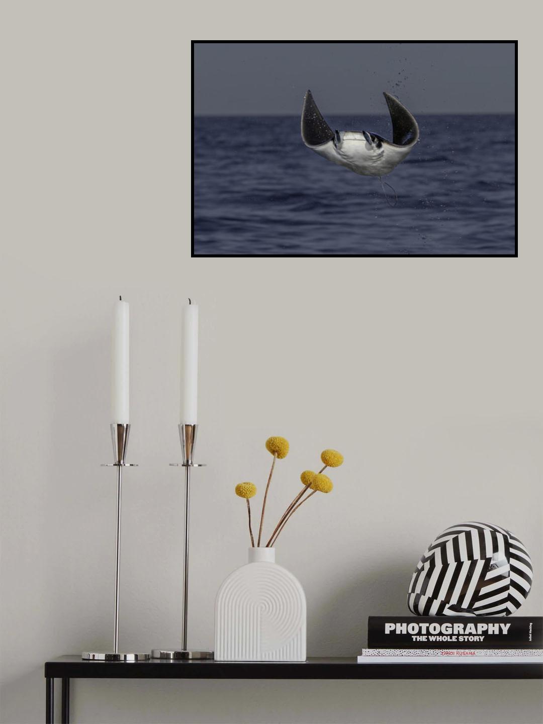 Flying out of ocean Poster och Canvastavla