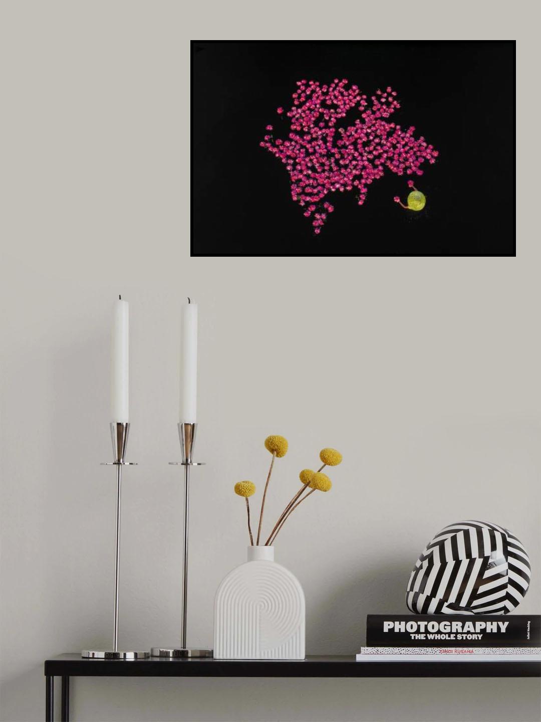 Harvesting water lilies Poster och Canvastavla