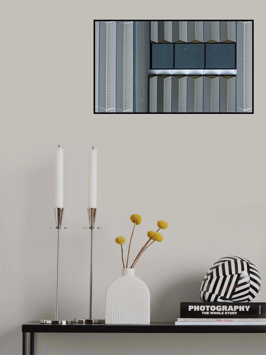 Reversals Poster och Canvastavla