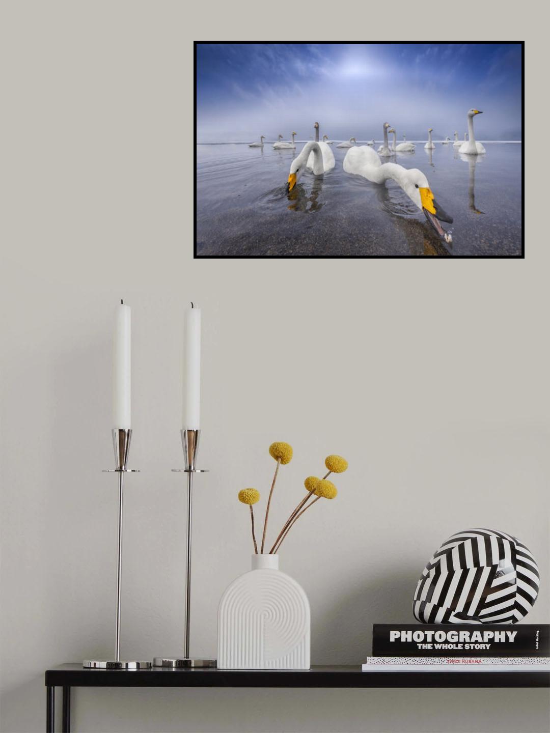 Swan Lake Poster och Canvastavla