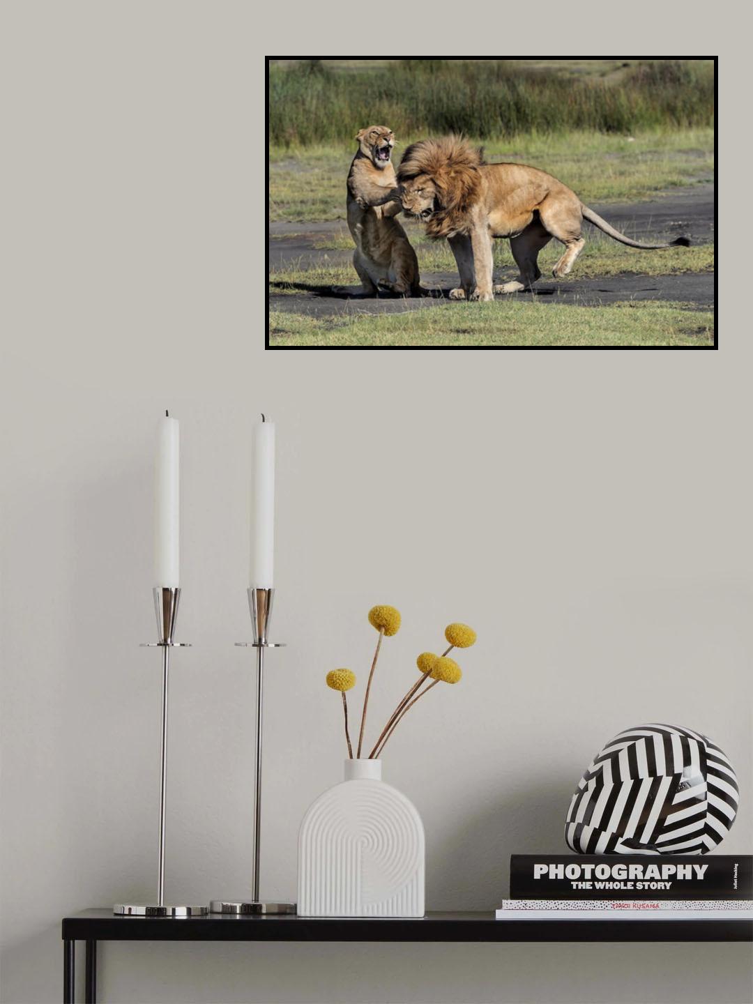 Him and her Poster och Canvastavla