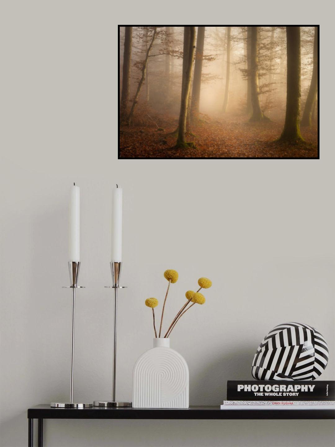 November Forest Poster och Canvastavla