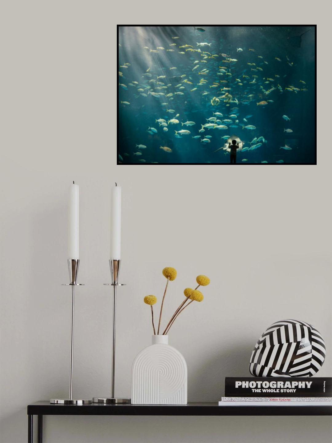 discovery Poster och Canvastavla