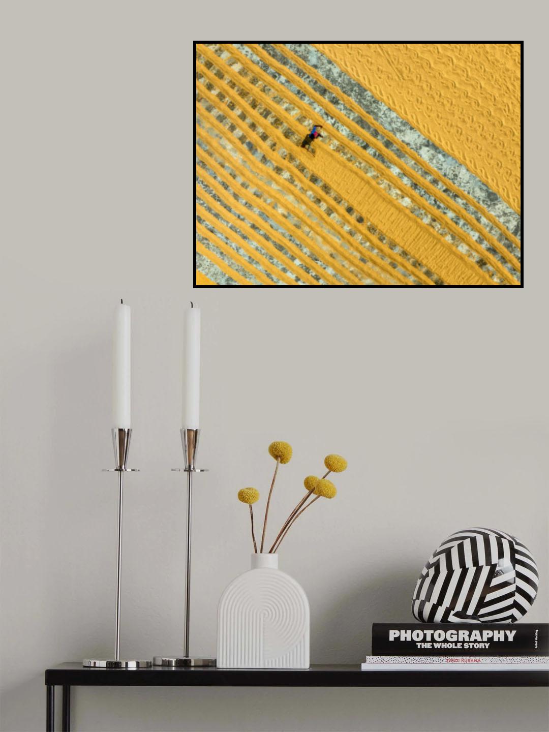 Pattern in the rice drying field Poster och Canvastavla