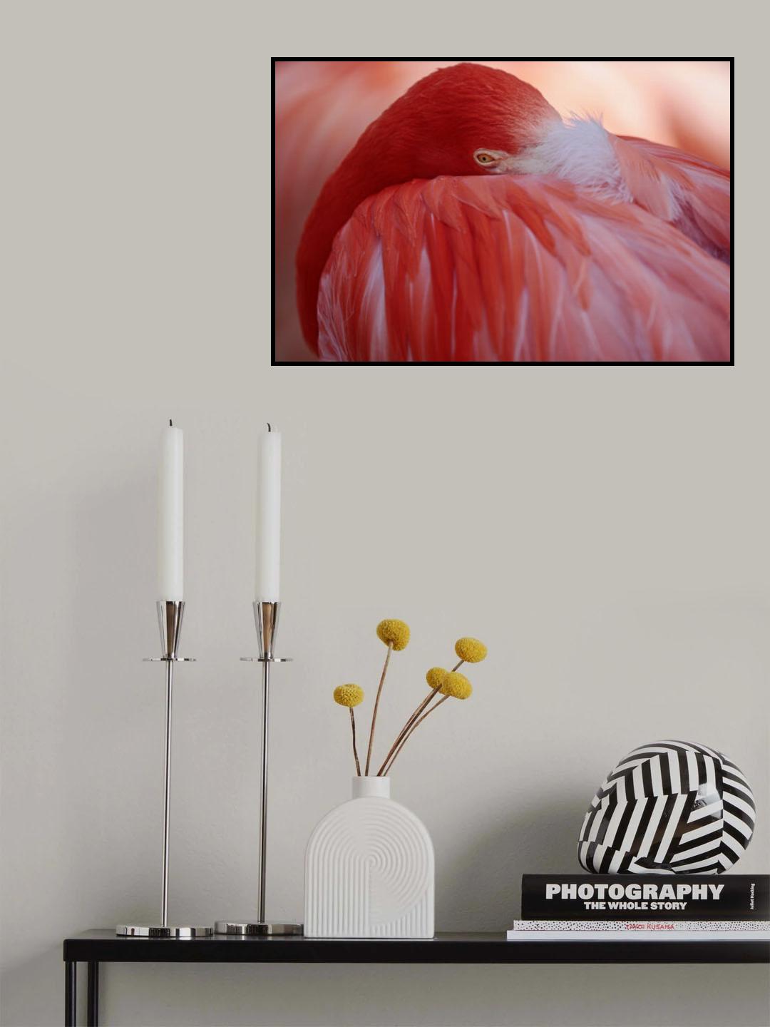 RED Poster och Canvastavla