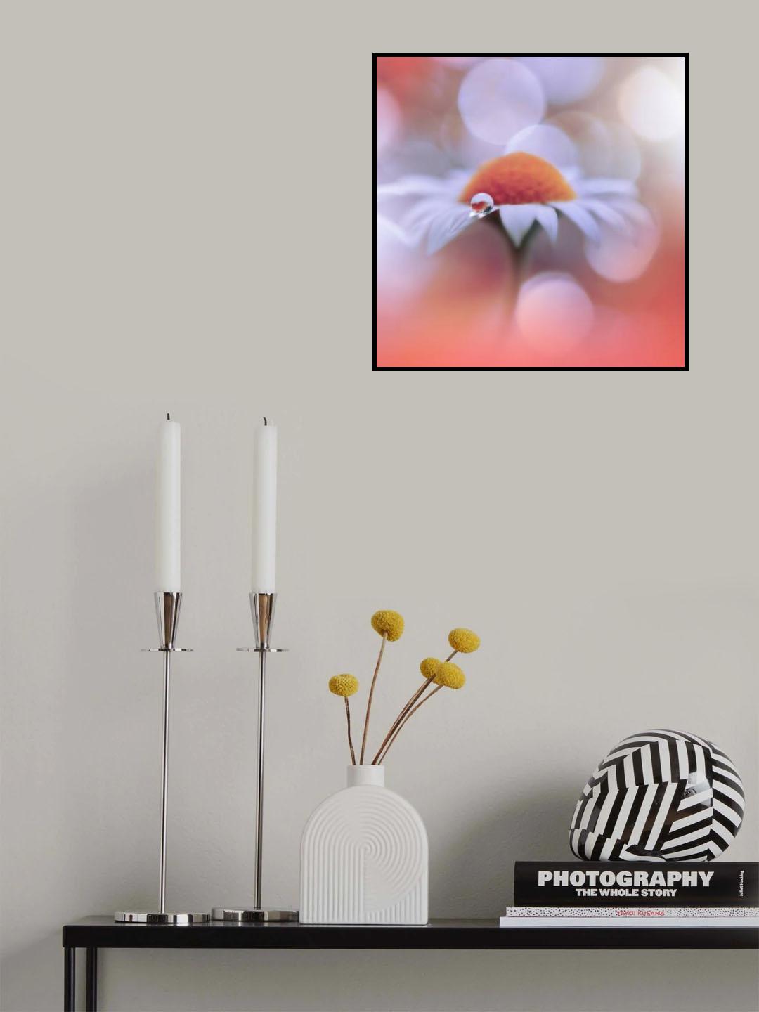 Summer Mood.. Poster och Canvastavla