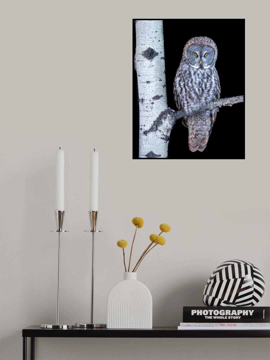 Watching You Poster och Canvastavla