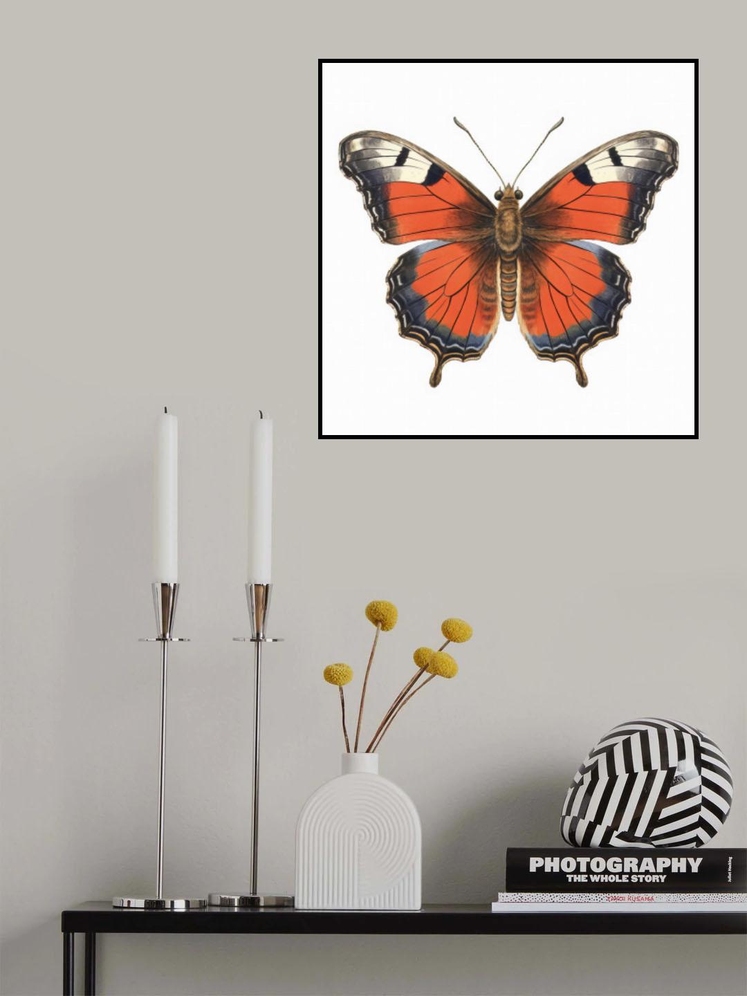 Butterfly 49 Poster och Canvastavla