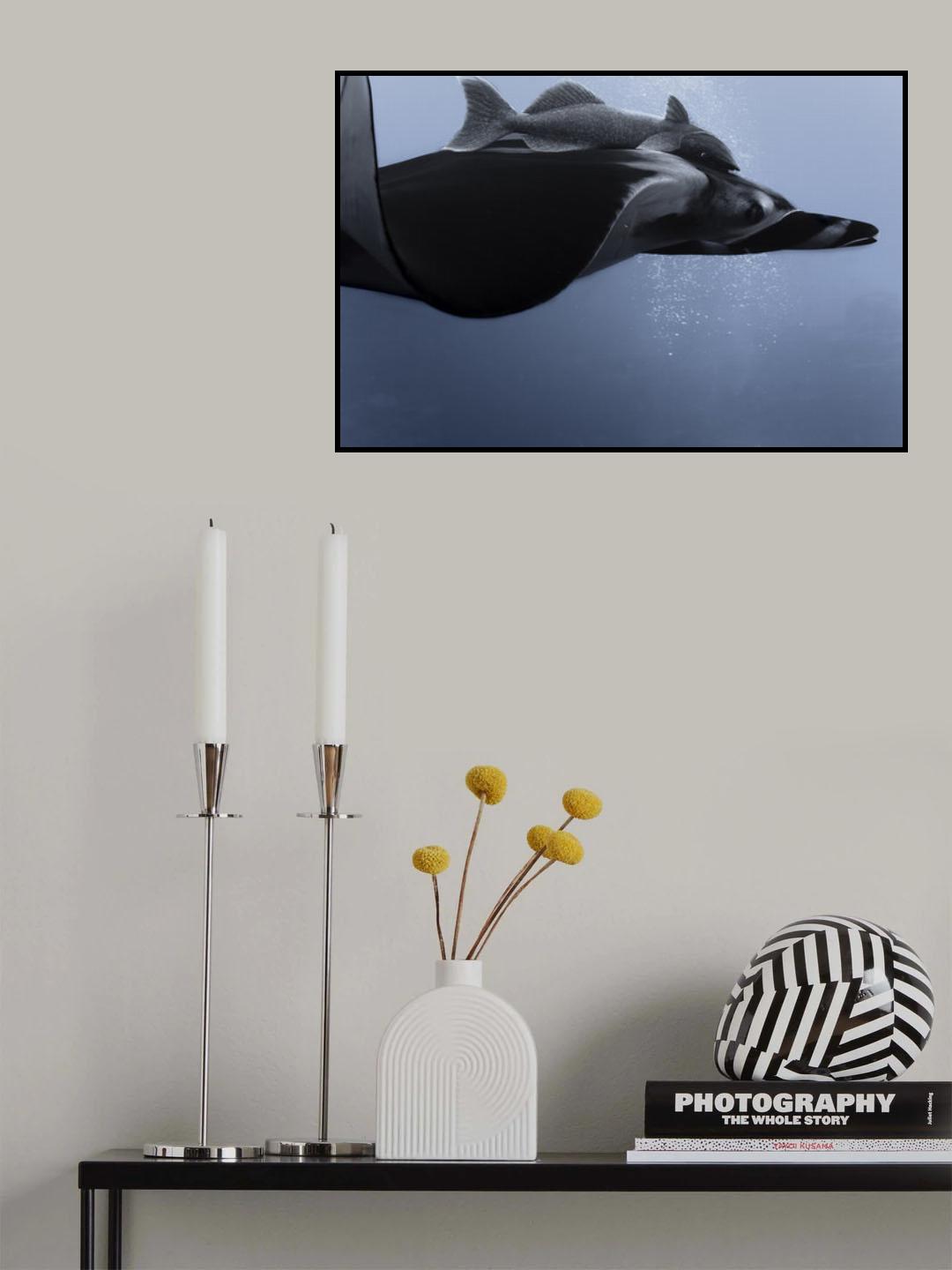 Eye contact Poster och Canvastavla