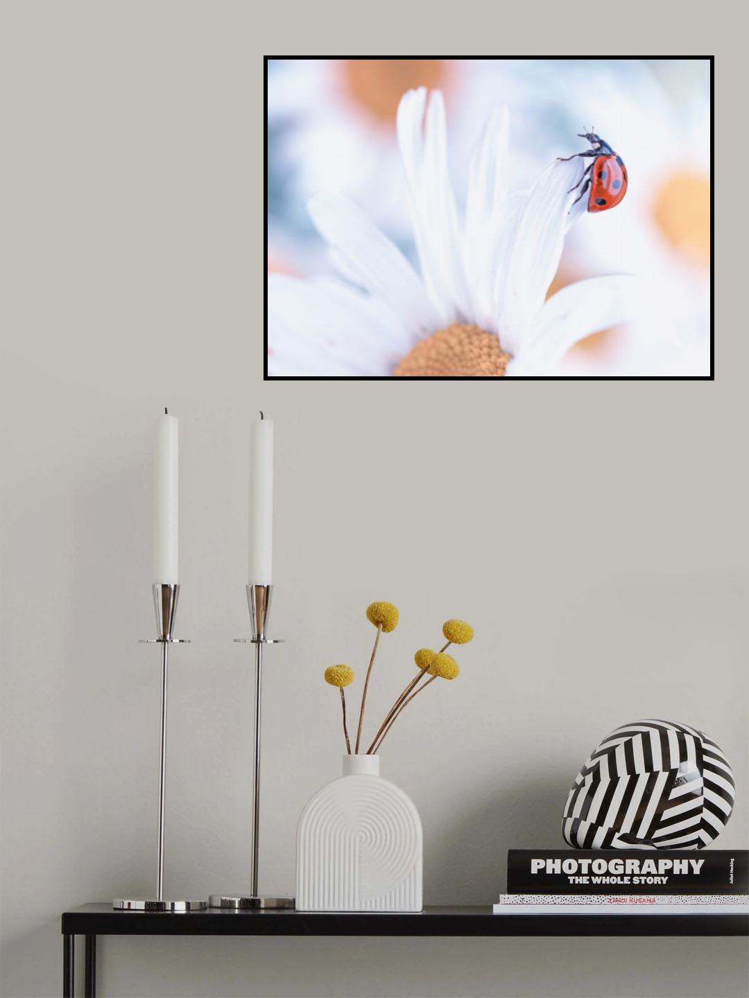 Ladybug Poster och Canvastavla