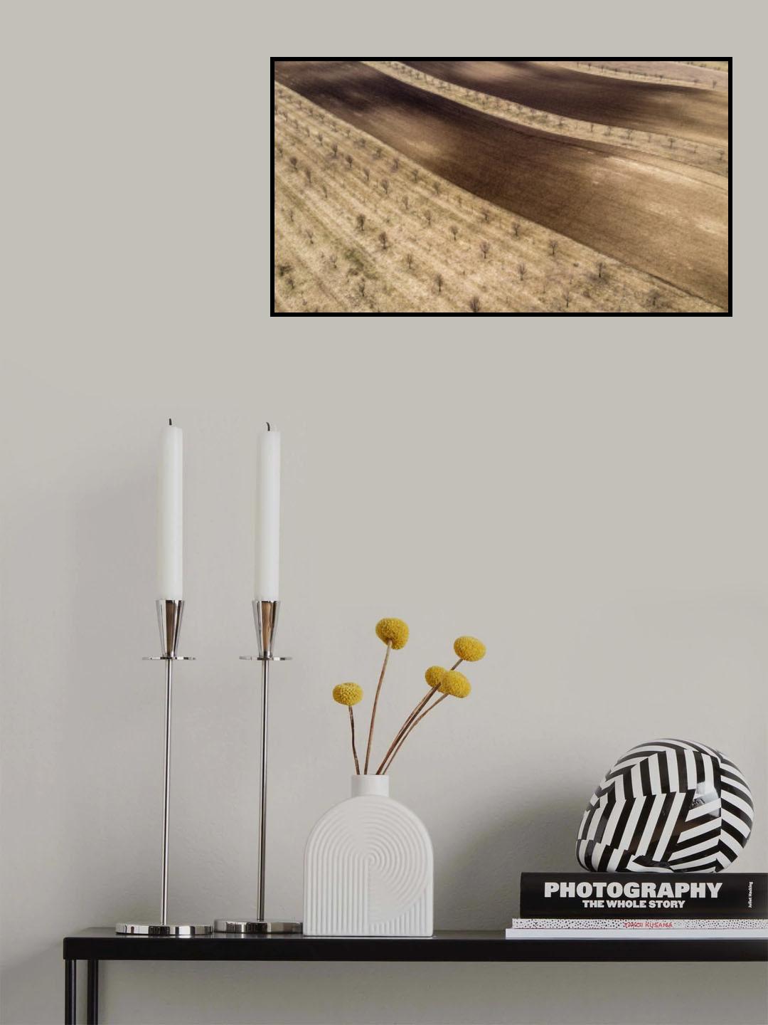 Diagonals Poster och Canvastavla
