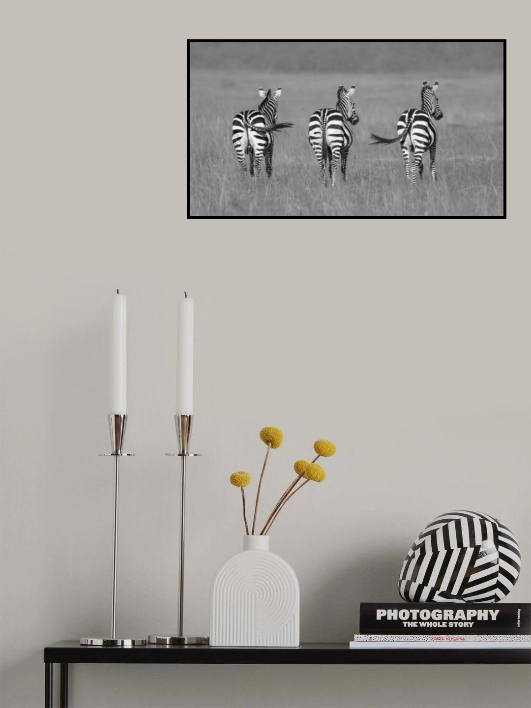 From back Poster och Canvastavla