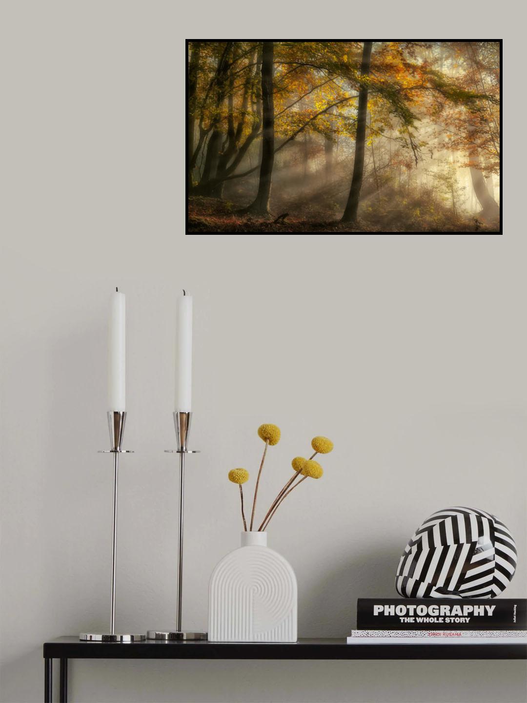 The lights of the forest Poster och Canvastavla