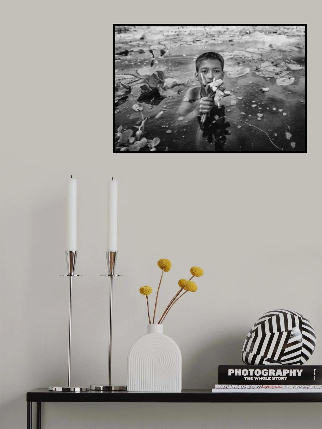 Water lily collection Poster och Canvastavla