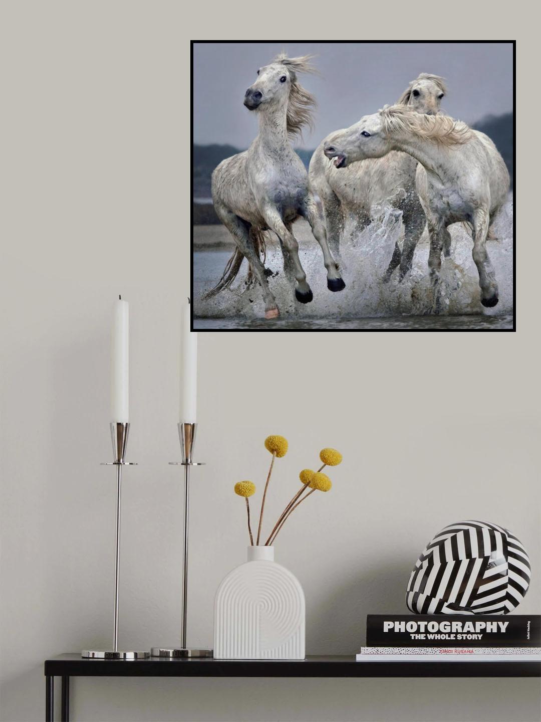 Move Over.... Poster och Canvastavla