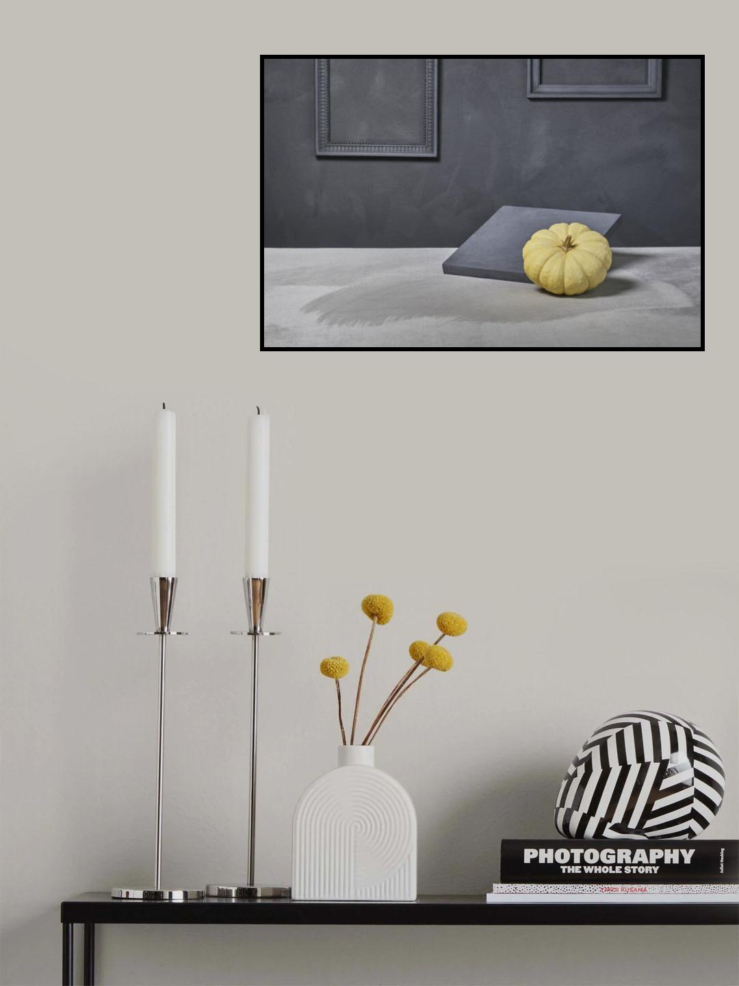 The white pumpkin Poster och Canvastavla
