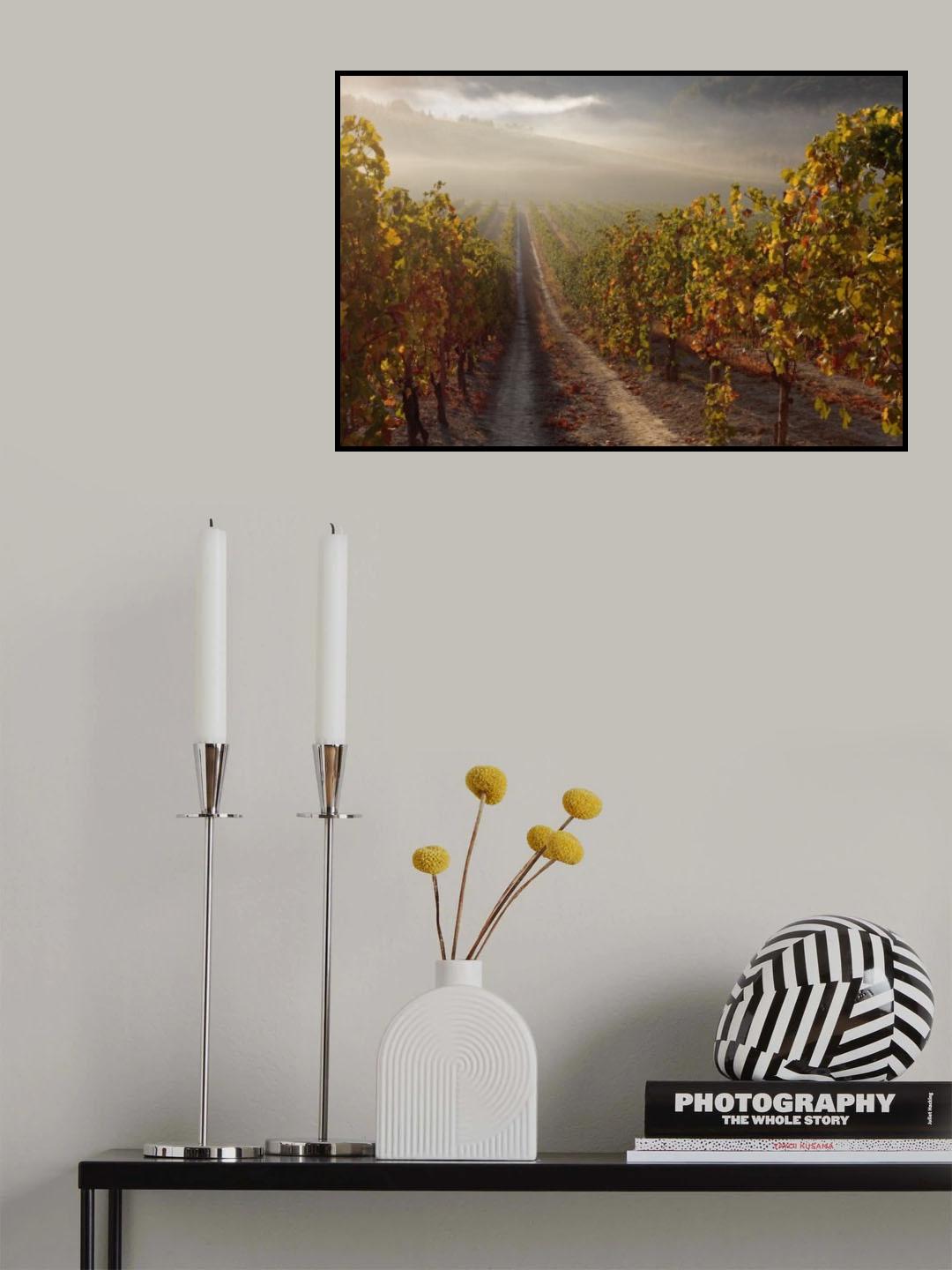 Nebbio Poster och Canvastavla