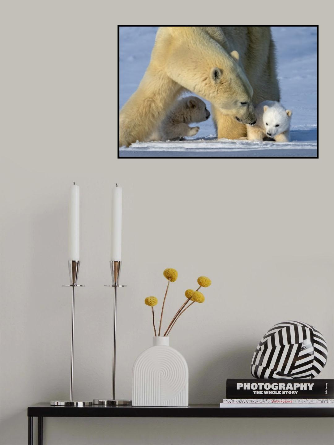 warm moment Poster och Canvastavla