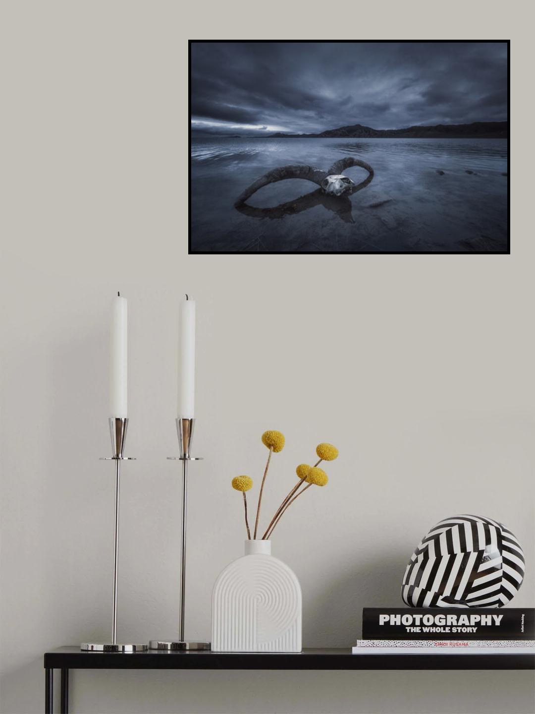 White bone Beach Poster och Canvastavla