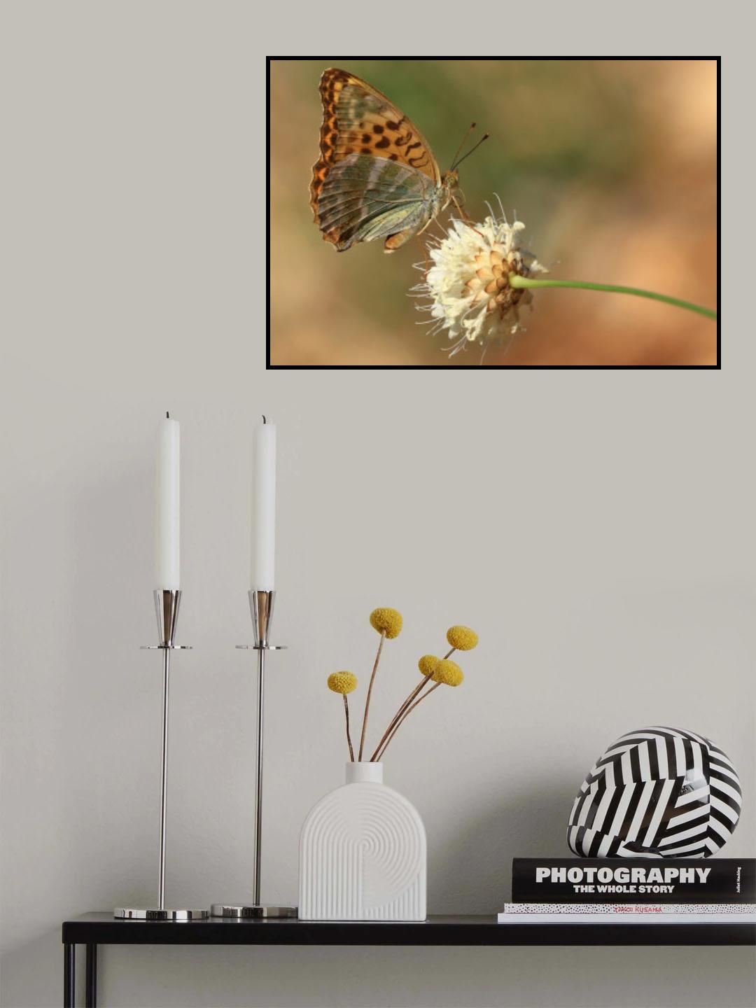 Argynnis paphia Poster och Canvastavla