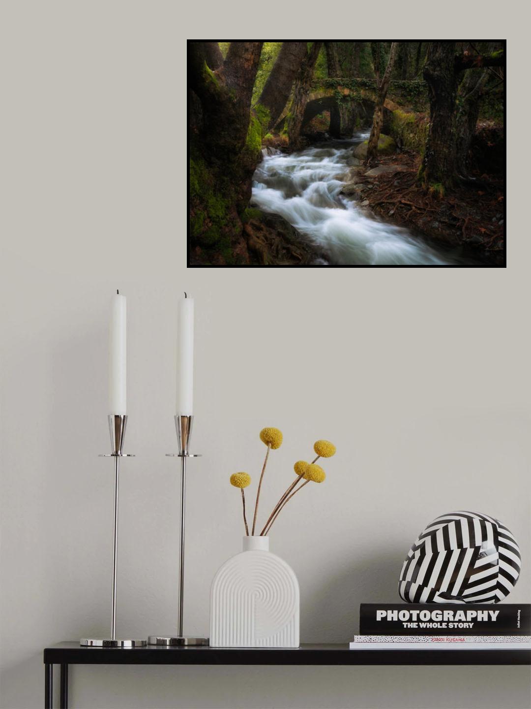 Medieval light Poster och Canvastavla