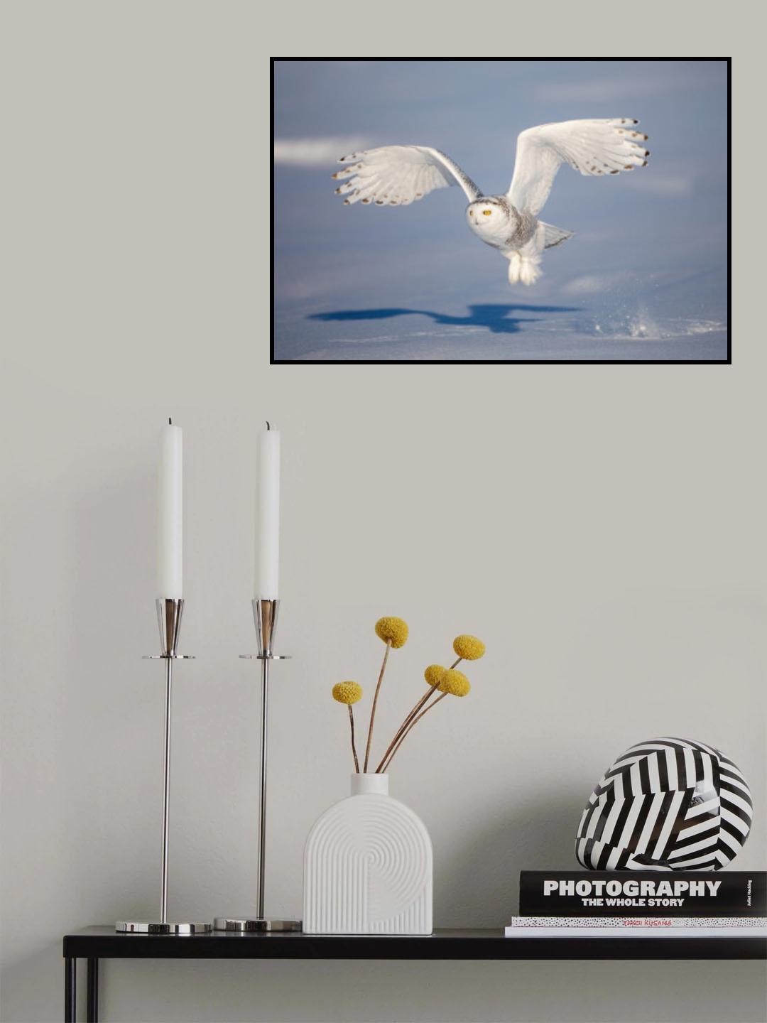 Take Off Poster och Canvastavla