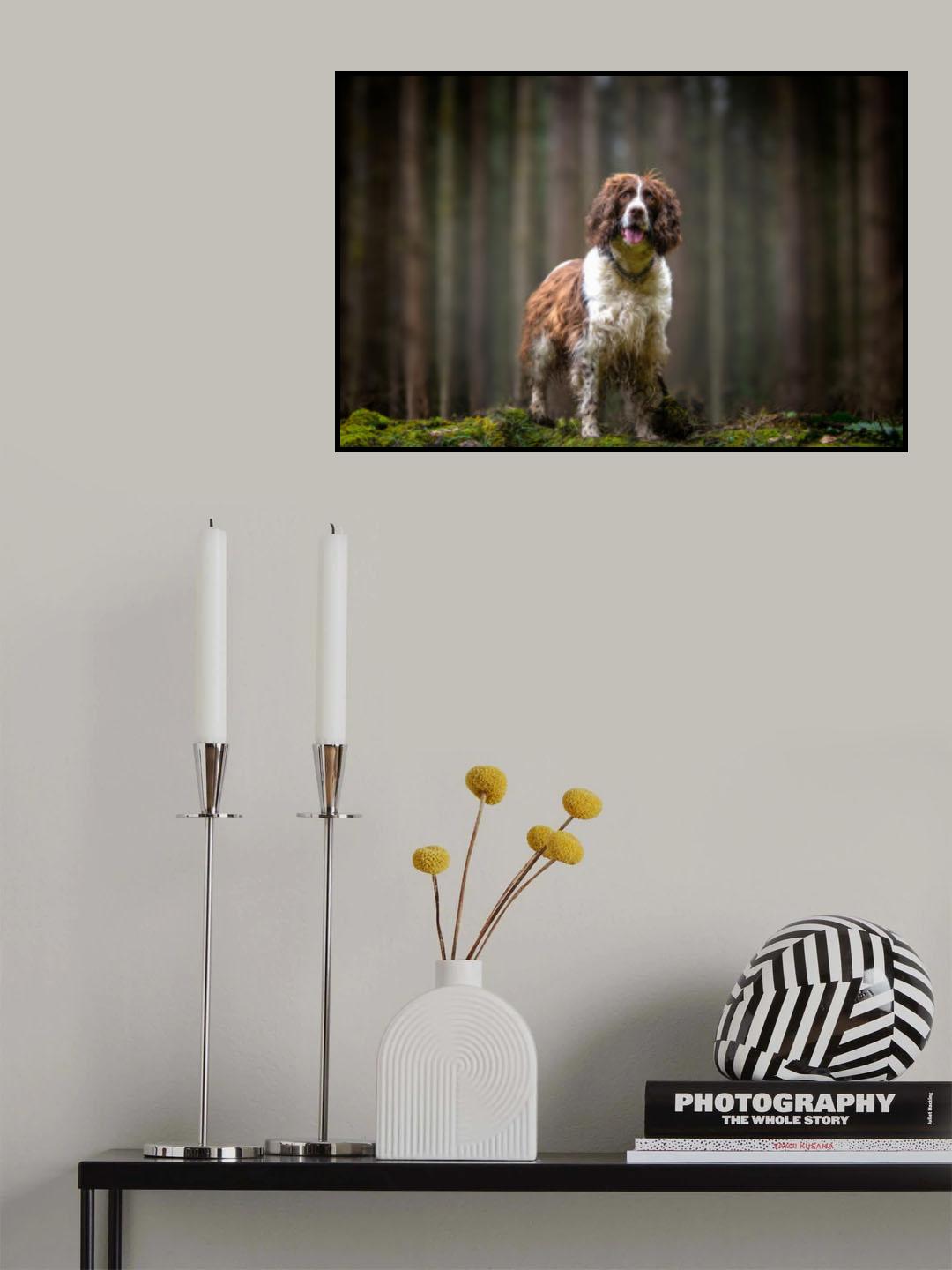 Brina Poster och Canvastavla