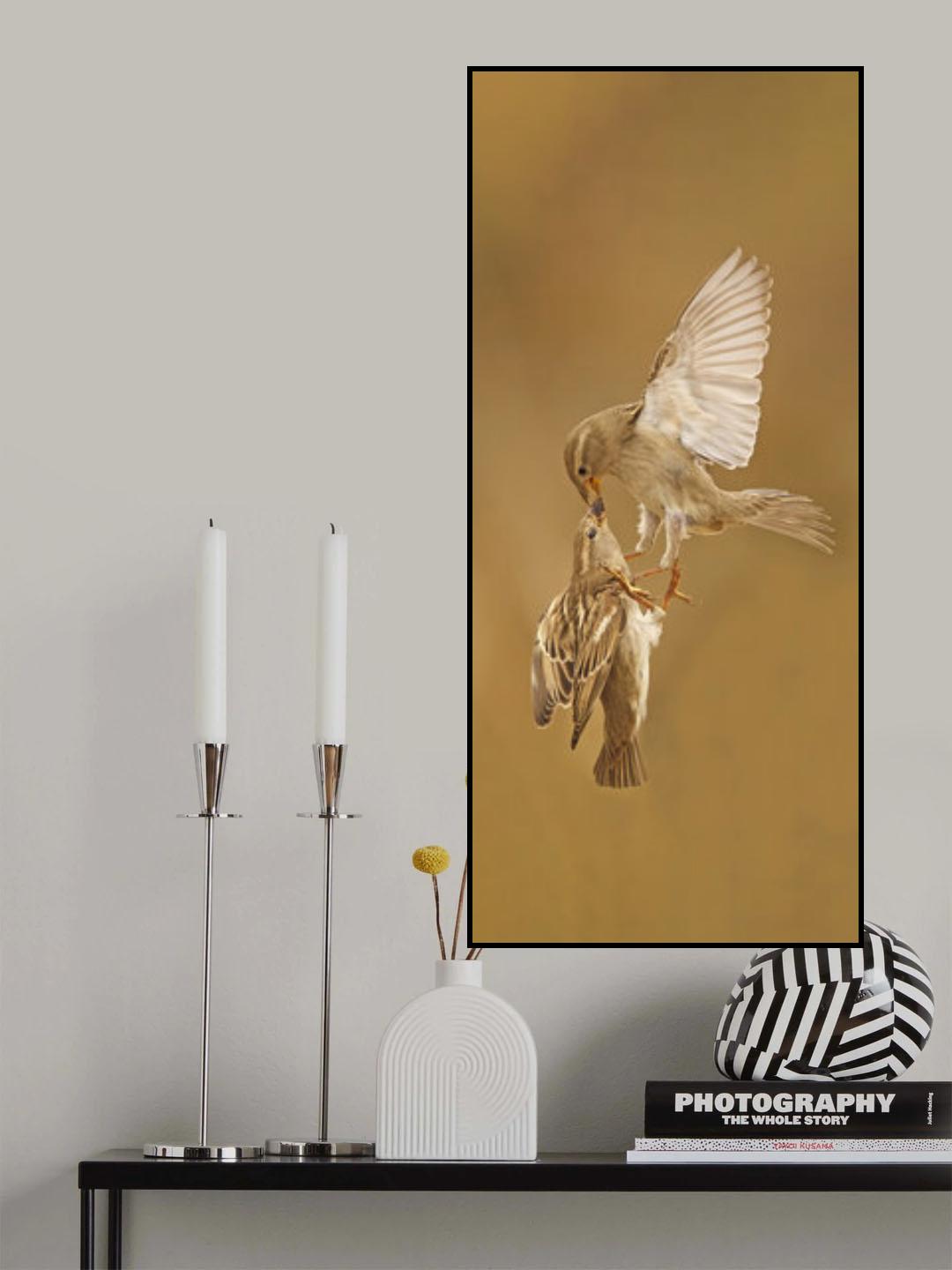 SPANISH KISS Poster och Canvastavla