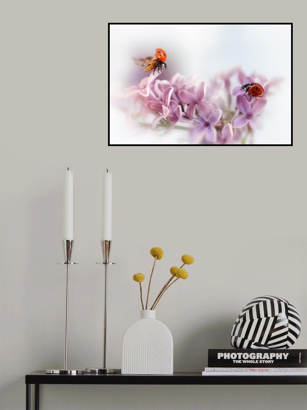 Almost summer.... Poster och Canvastavla