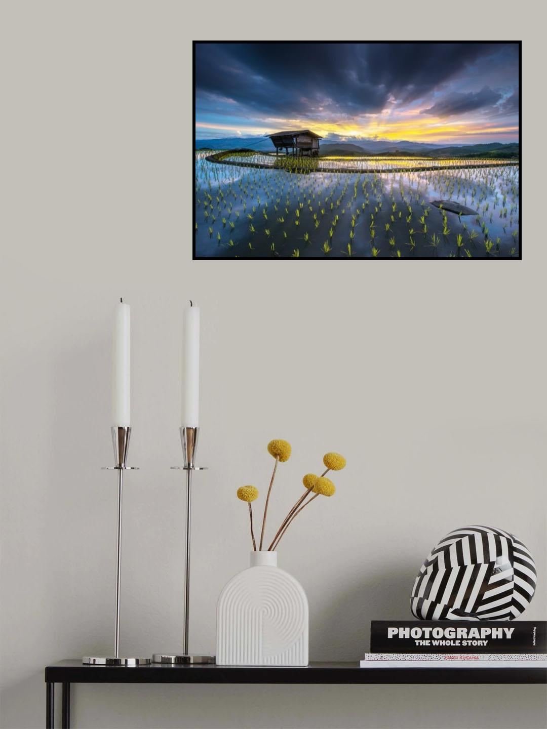 Light in rice Poster och Canvastavla