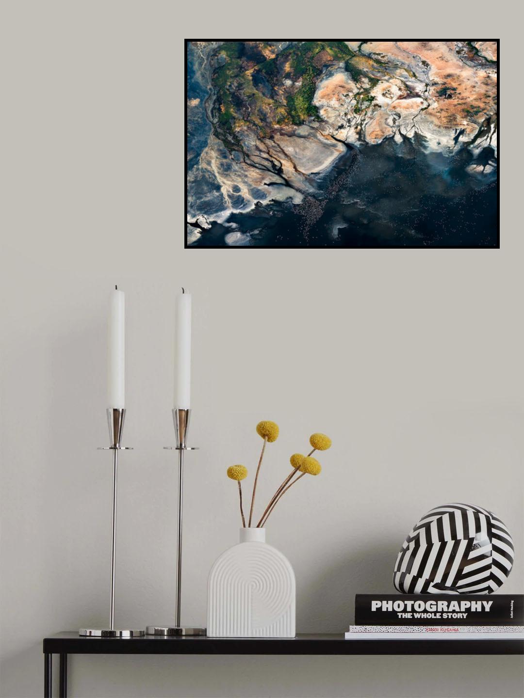 Splendid Africa Poster och Canvastavla