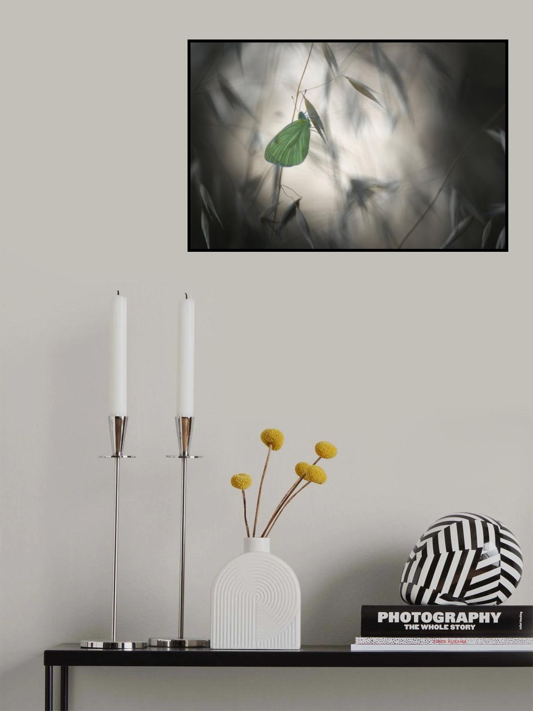 Douce nuit Poster och Canvastavla