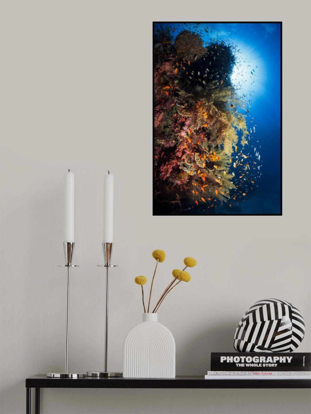 Life explosion Poster och Canvastavla