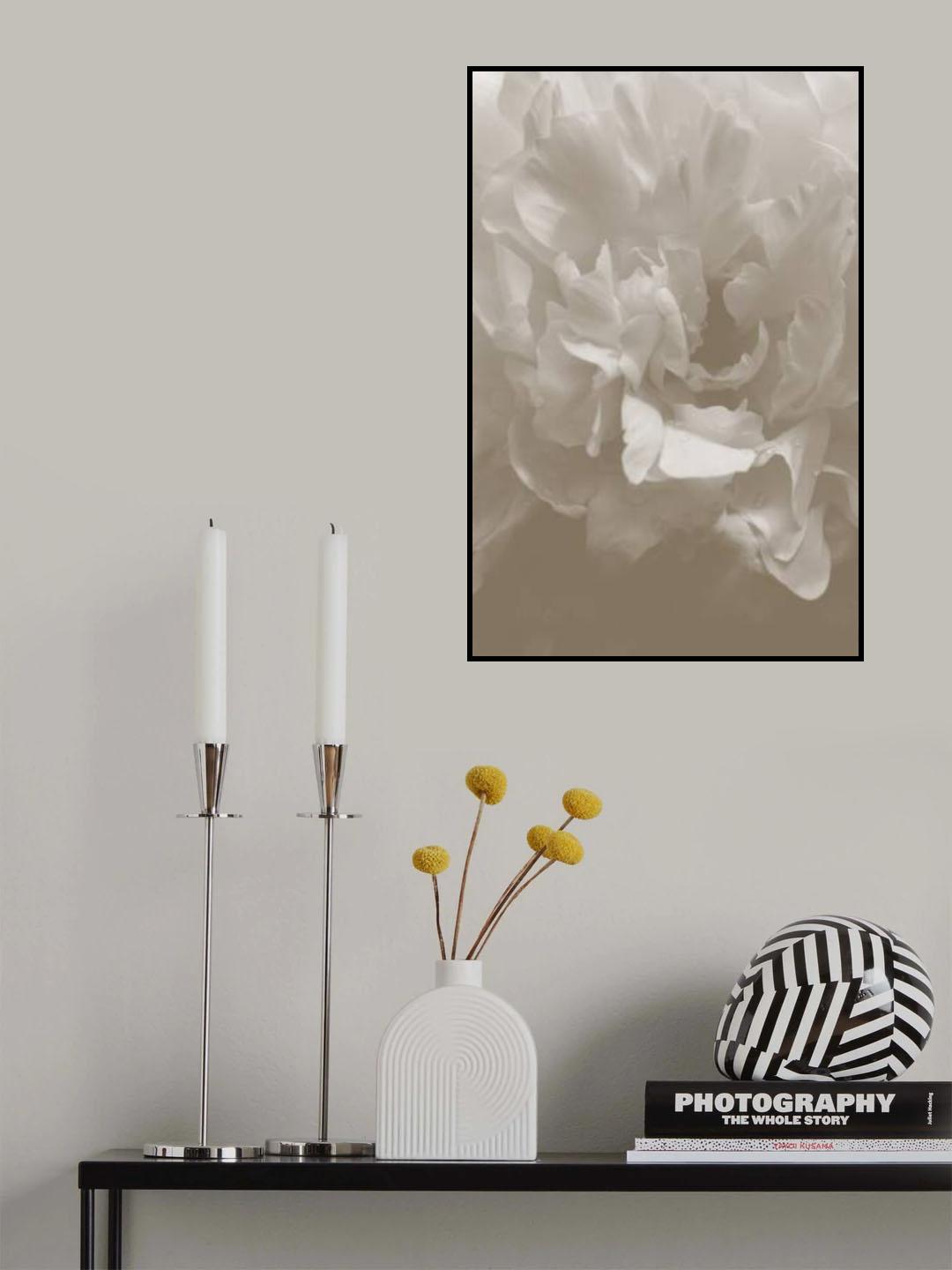 Peony_9 Poster och Canvastavla