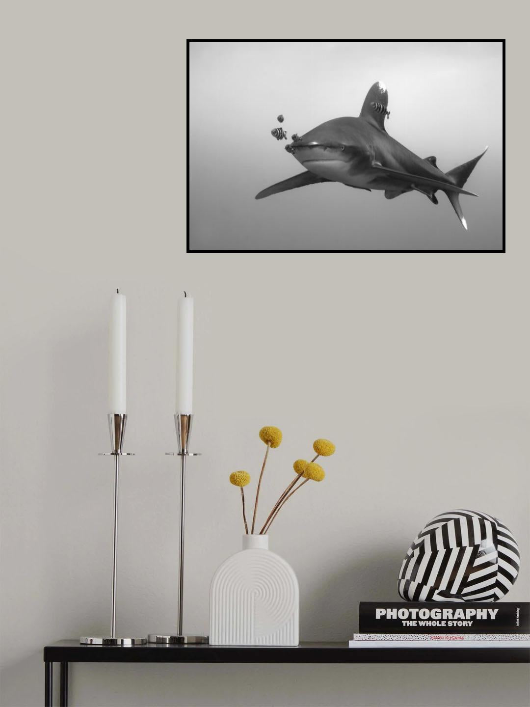 Longimanus Poster och Canvastavla