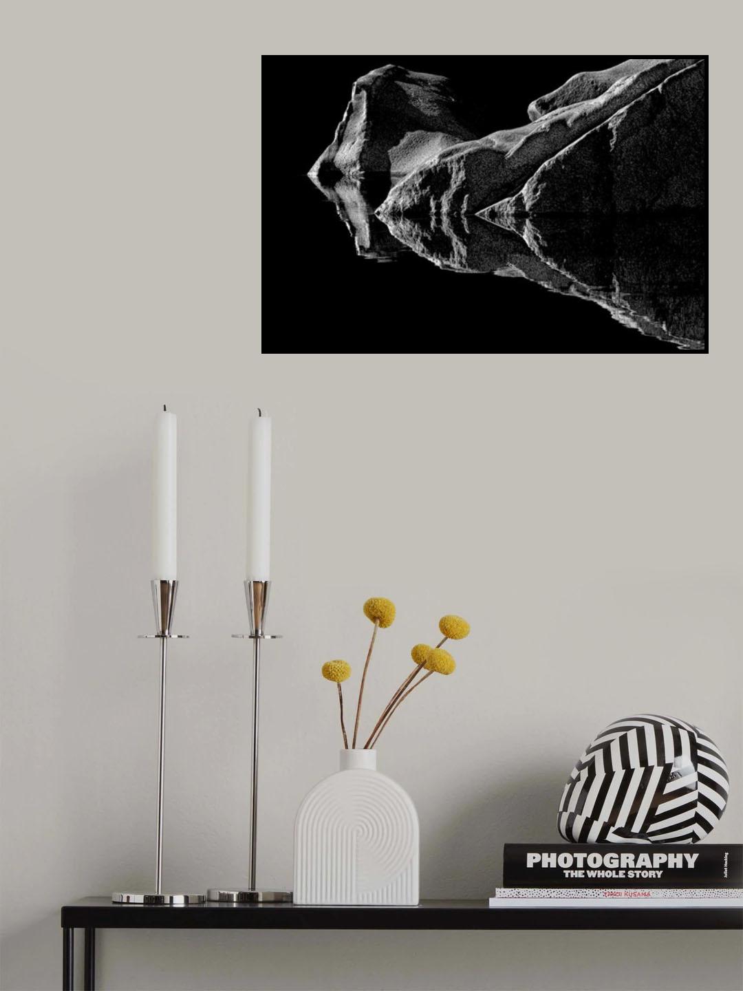 Double Vision Poster och Canvastavla