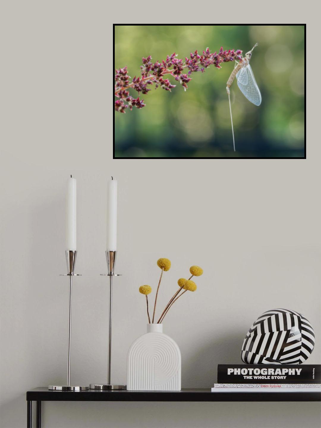 Tipping point Poster och Canvastavla