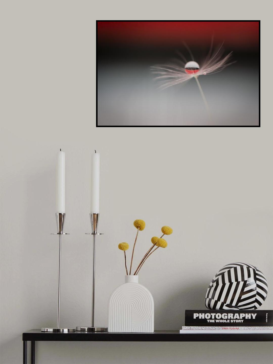 Half a world Poster och Canvastavla