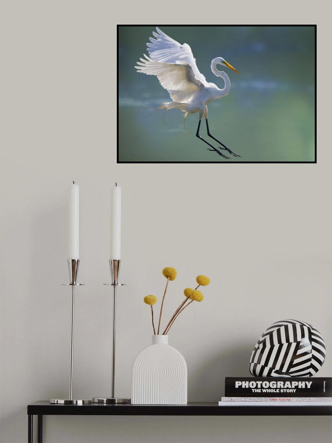 Poster och Canvastavla
