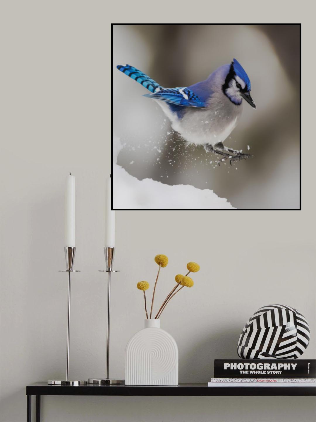 Jump Poster och Canvastavla