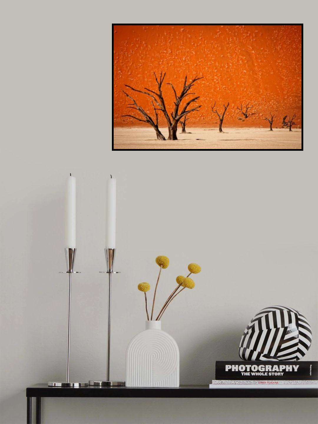 The older Poster och Canvastavla