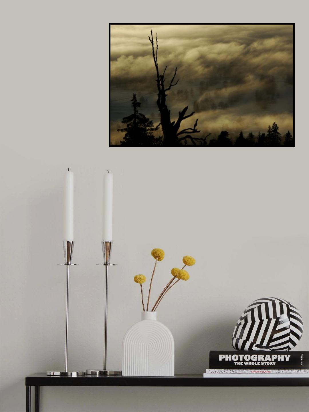 Out of the mist Poster och Canvastavla