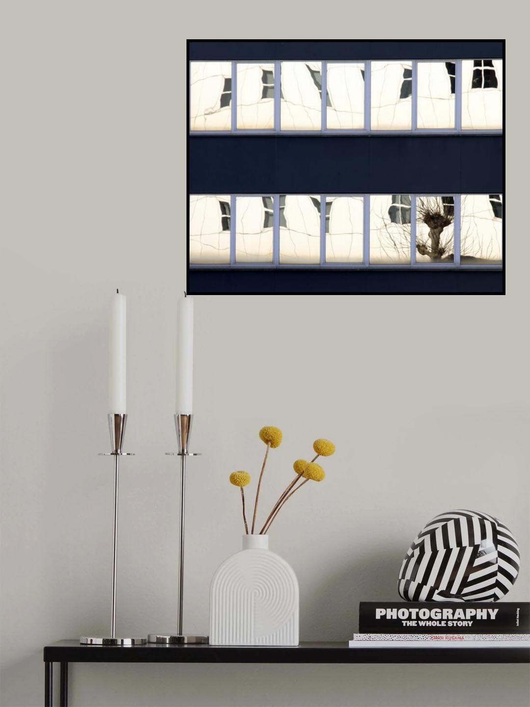 Willow in a window Poster och Canvastavla