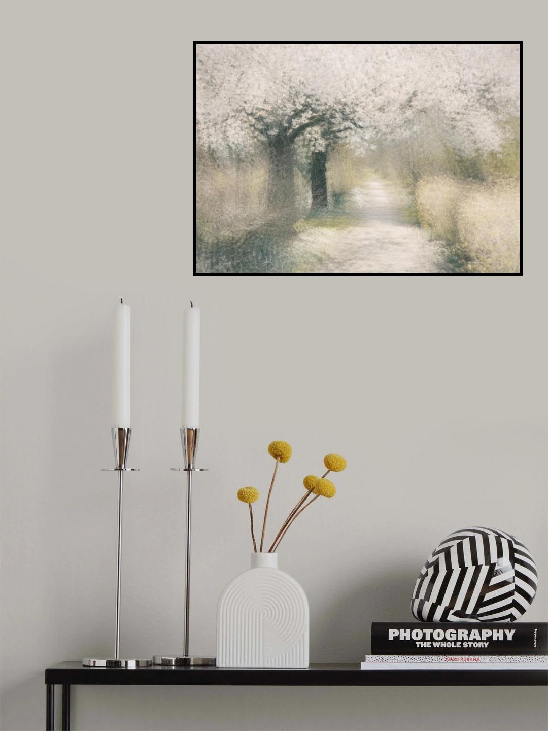 Cherry blossom Poster och Canvastavla
