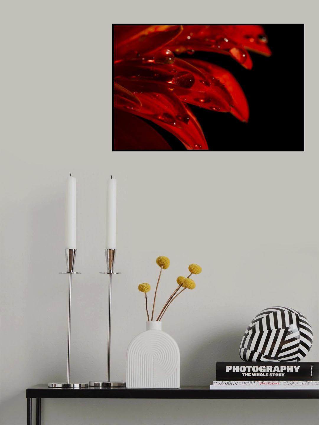 Gerbera leaf and water drops Poster och Canvastavla
