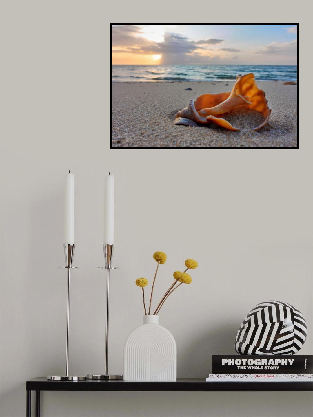 Snail shell in the spotlight of nature Poster och Canvastavla