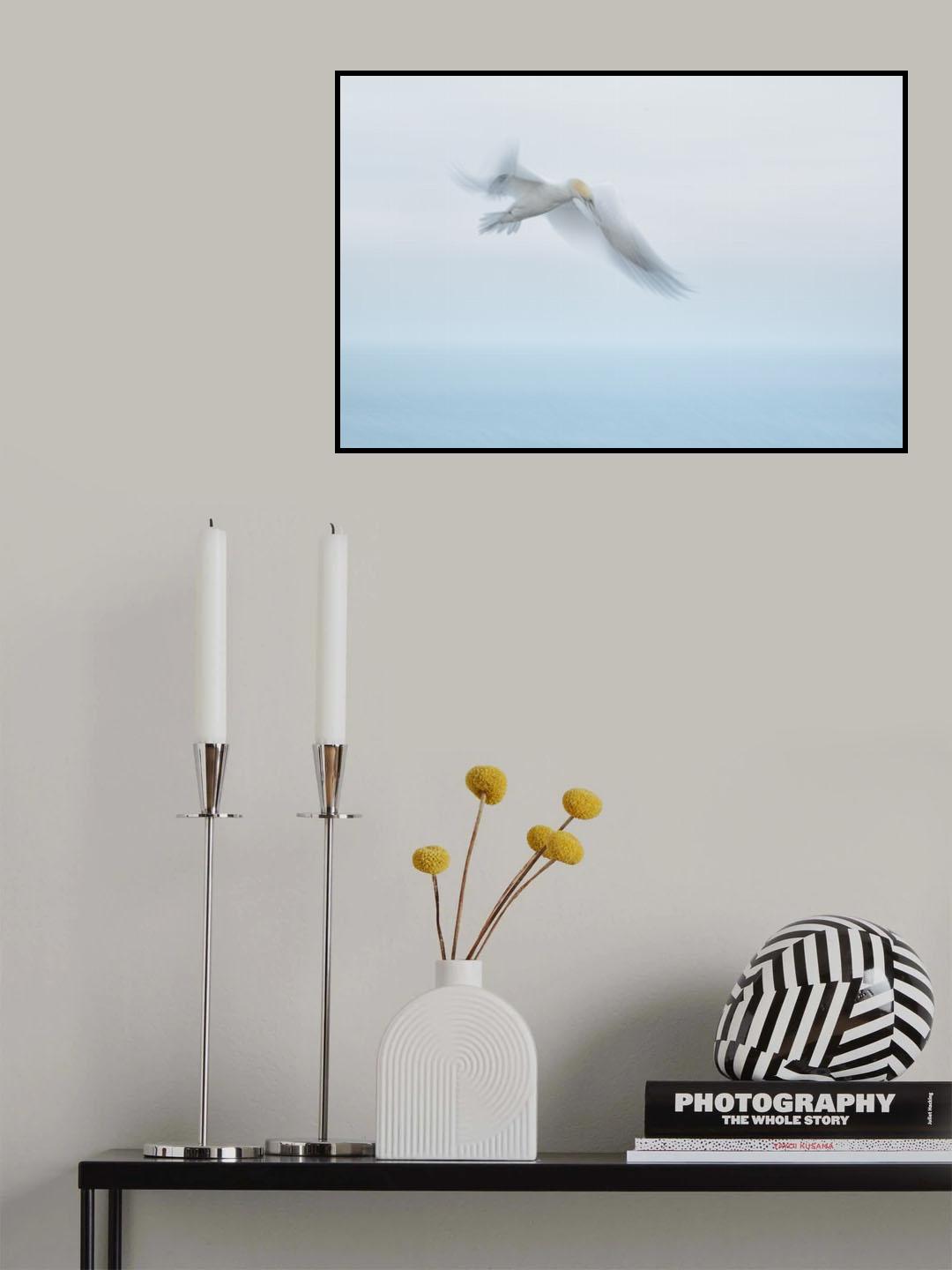 ready for landing...... Poster och Canvastavla