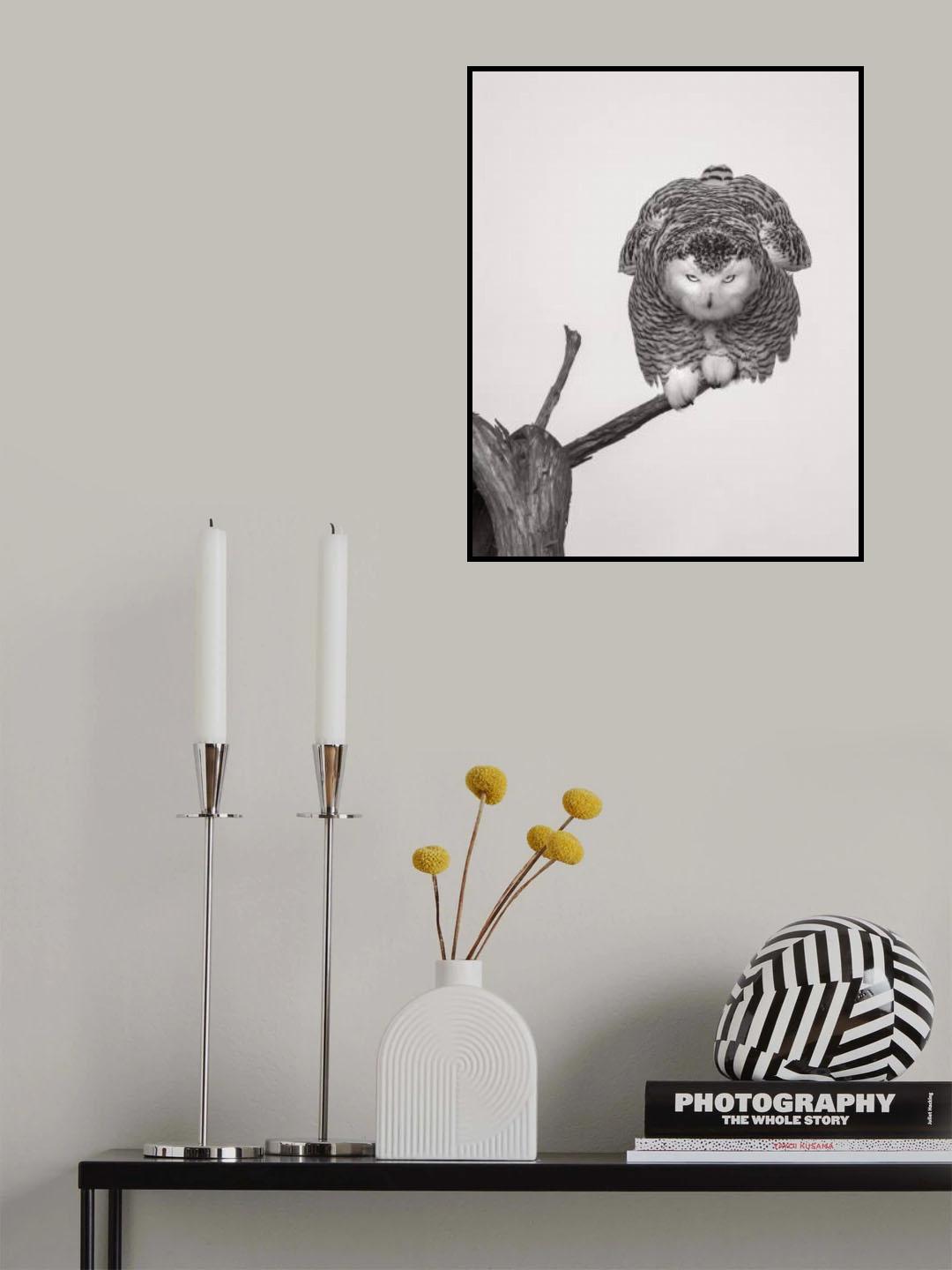 Unusual pose Poster och Canvastavla