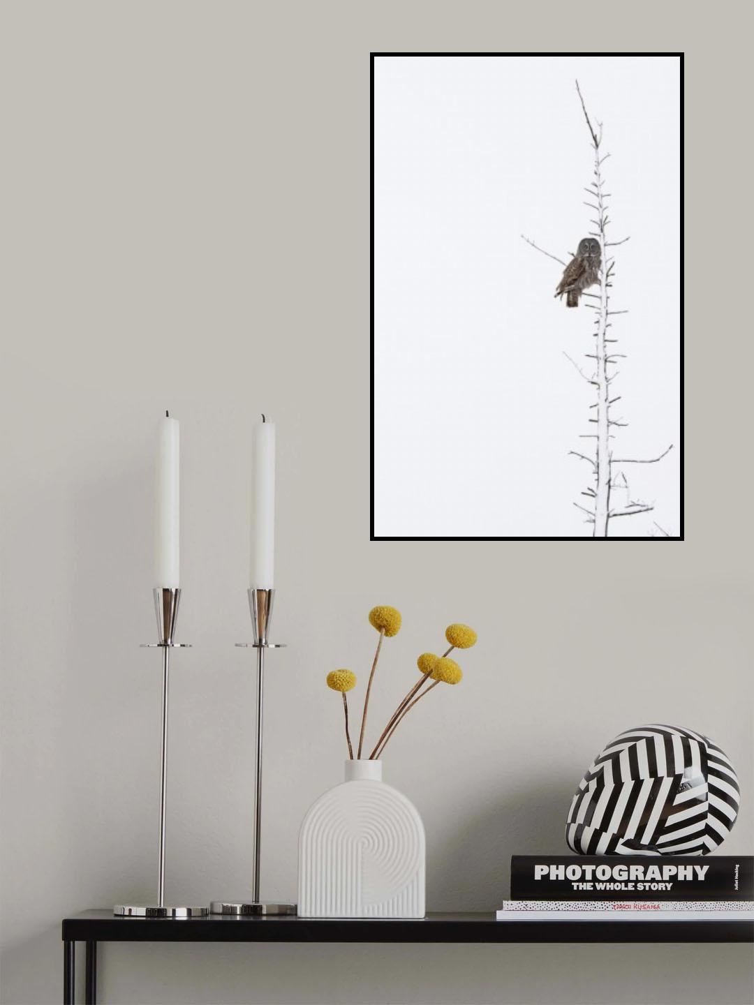 The Grey Hunter on White Poster och Canvastavla