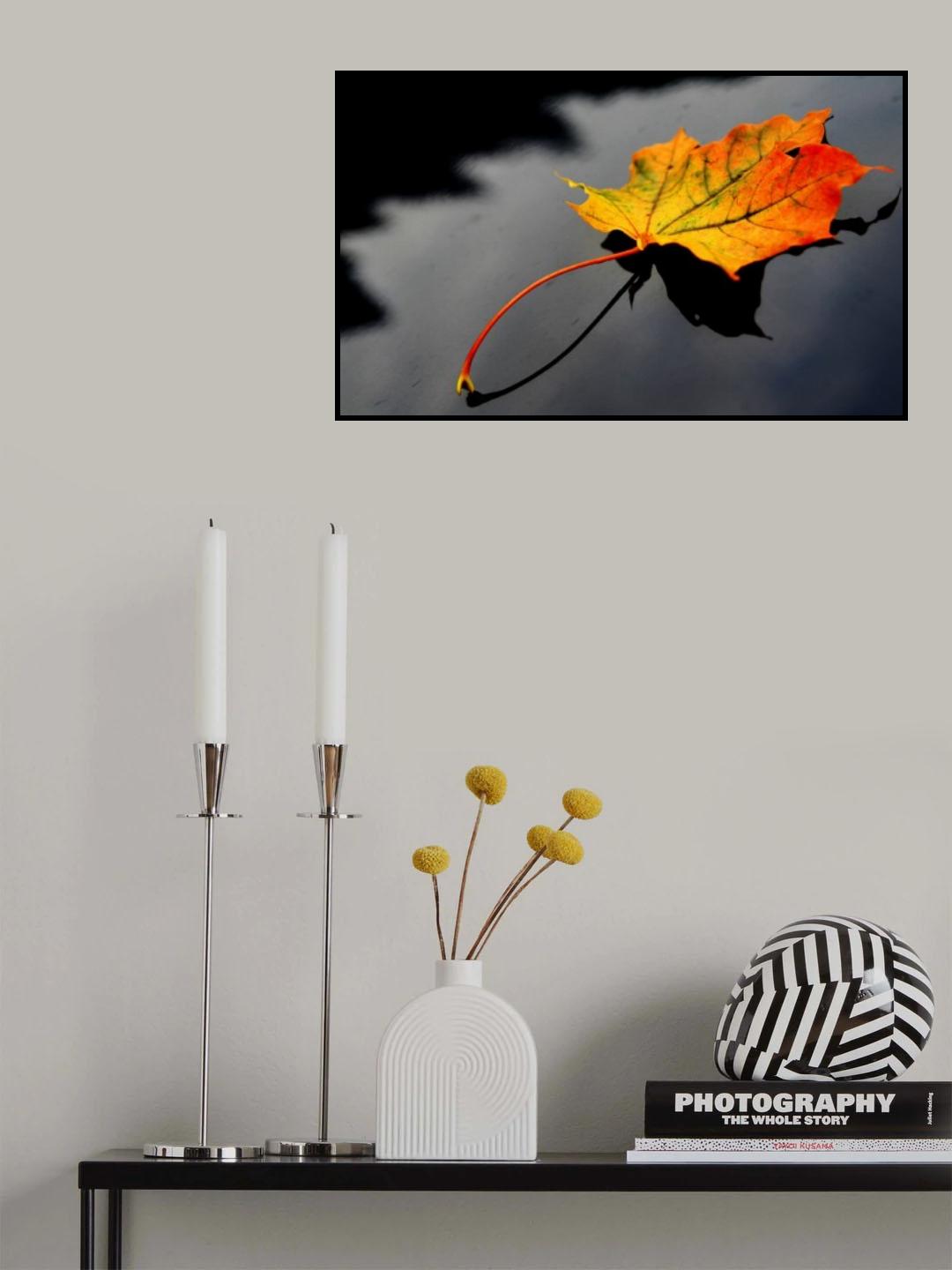 Maple leaf Poster och Canvastavla